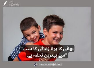 Top 5 Brother Quotes in Urdu