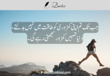 Inspirational Urdu Quotes