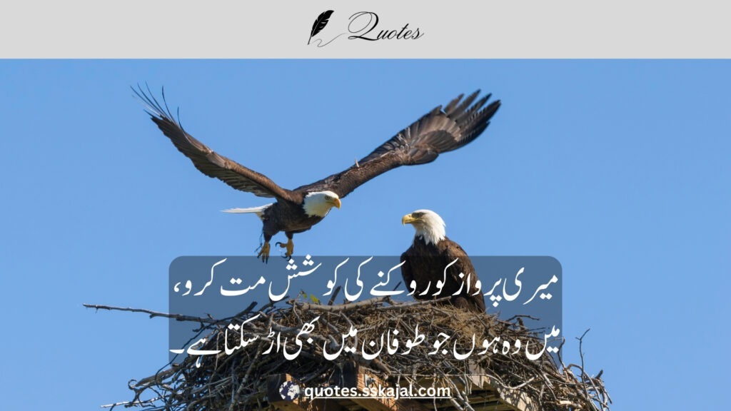 Attitude quotes in Urdu for boys and girls "killer attitude quotes in urdu for boys and girls" "swag attitude quotes in urdu for boys and girls" "smile attitude quotes in urdu for boys and girls" "attitude quotes in urdu for boys and girls in hindi" "attitude quotes in urdu for boys and girls in english" "attitude quotes in urdu english" "attitude quotes in urdu text" "killer attitude quotes in; 