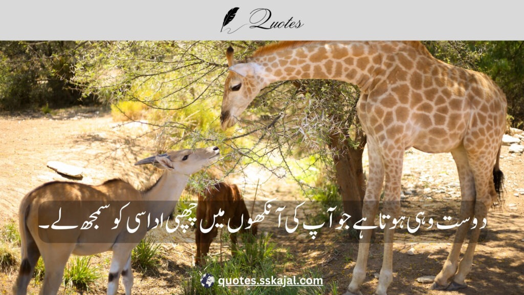 "friendship urdu quotes" "short friendship urdu quotes" "friendship quotes in urdu 2 lines" "friendship quotes in urdu english" "funny friendship urdu quotes" "best friend quotes in urdu text" "friendship urdu quotes for girl" "friendship urdu quotes for instagram" "friendship quotes in urdu shayari"