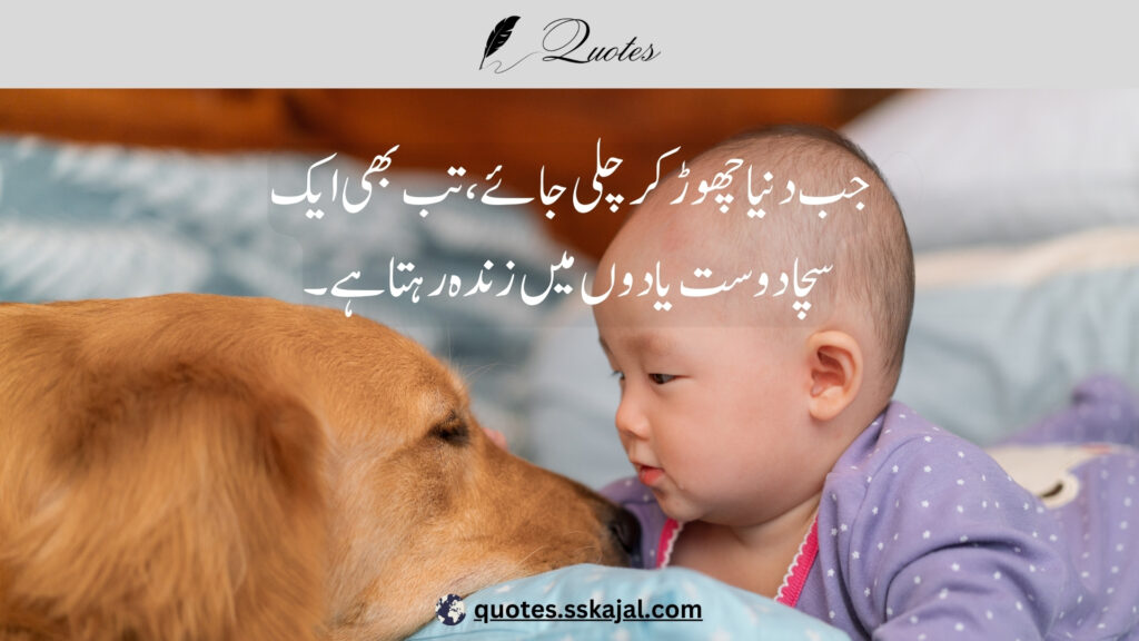 "friendship urdu quotes" "short friendship urdu quotes" "friendship quotes in urdu 2 lines" "friendship quotes in urdu english" "funny friendship urdu quotes" "best friend quotes in urdu text" "friendship urdu quotes for girl" "friendship urdu quotes for instagram" "friendship quotes in urdu shayari"