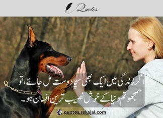 "friendship urdu quotes" "short friendship urdu quotes" "friendship quotes in urdu 2 lines" "friendship quotes in urdu english" "funny friendship urdu quotes" "best friend quotes in urdu text" "friendship urdu quotes for girl" "friendship urdu quotes for instagram" "friendship quotes in urdu shayari"