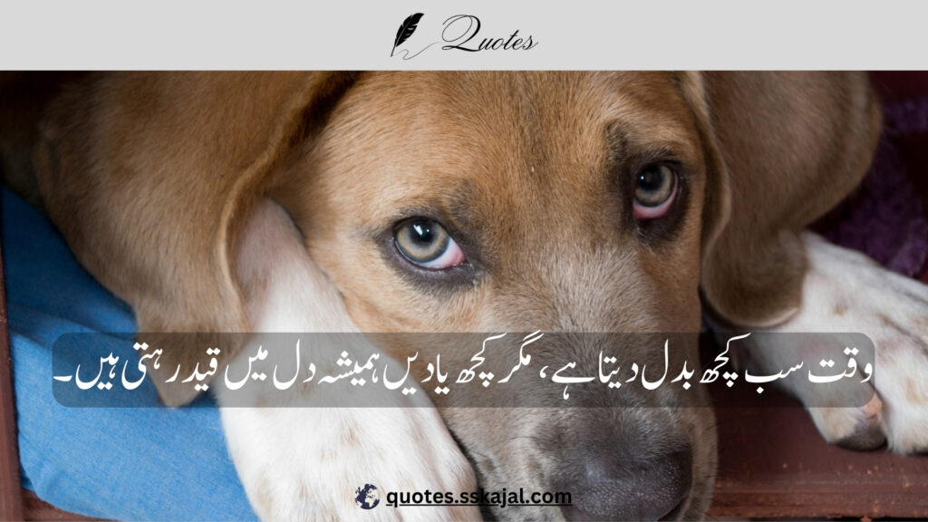 "Sad Urdu Quotes" "sad urdu quotes in english" "sad urdu quotes about life" "sad urdu quotes about love" "heart touching sad quotes in urdu" "sad urdu quotes copy paste" "sad quotes urdu text" "deep sad quotes in urdu" "sad quotes in urdu one line"