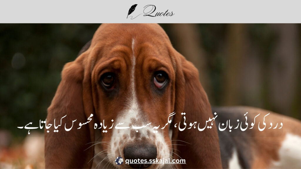 "Sad Urdu Quotes" "sad urdu quotes in english" "sad urdu quotes about life" "sad urdu quotes about love" "heart touching sad quotes in urdu" "sad urdu quotes copy paste" "sad quotes urdu text" "deep sad quotes in urdu" "sad quotes in urdu one line"