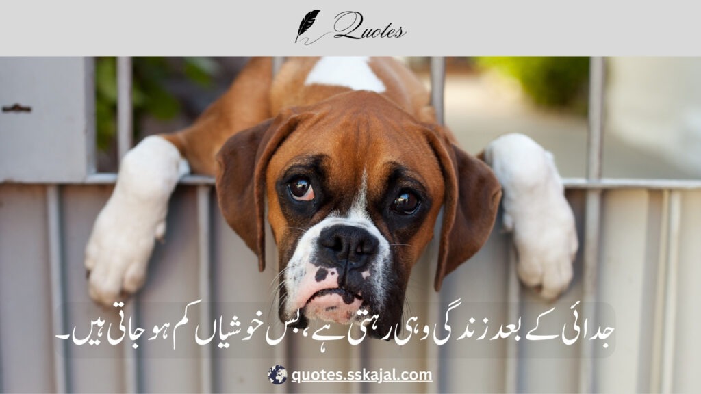 "Sad Urdu Quotes" "sad urdu quotes in english" "sad urdu quotes about life" "sad urdu quotes about love" "heart touching sad quotes in urdu" "sad urdu quotes copy paste" "sad quotes urdu text" "deep sad quotes in urdu" "sad quotes in urdu one line"