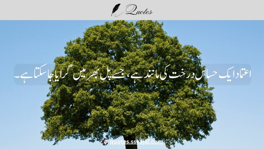 trust quotes in Urdu,
relationship trust quotes in urdu,
sad trust quotes in urdu,
trust quotes in urdu English,
trust quotes in English,
trust poetry in urdu,
trust poetry in English,
trust quotes for relationships,
bharosa quotes in urdu,
