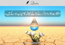 Urdu Quotes On Life